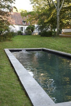 Un matin dans les bois - Piscine