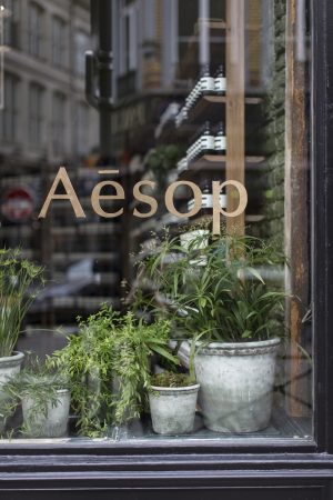 Aesop Vieux-Lille